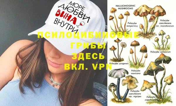 экстази Баксан