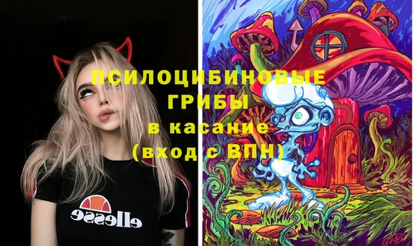 тгк Балахна